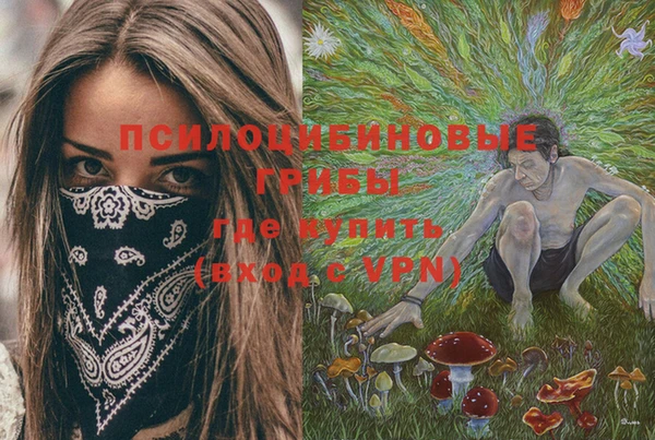 индика Алексеевка