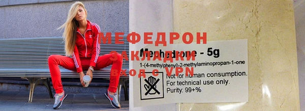 индика Алексеевка