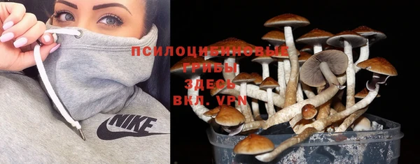 индика Алексеевка