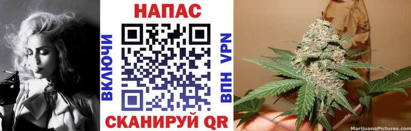 Бошки Шишки семена  купить закладку  Красавино 
